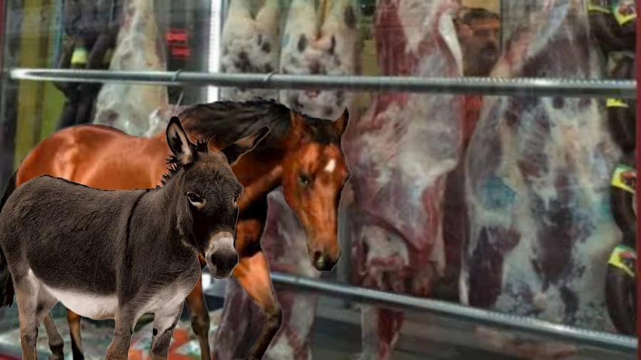 Bu firmalardan uzak durun. galerisi resim 4