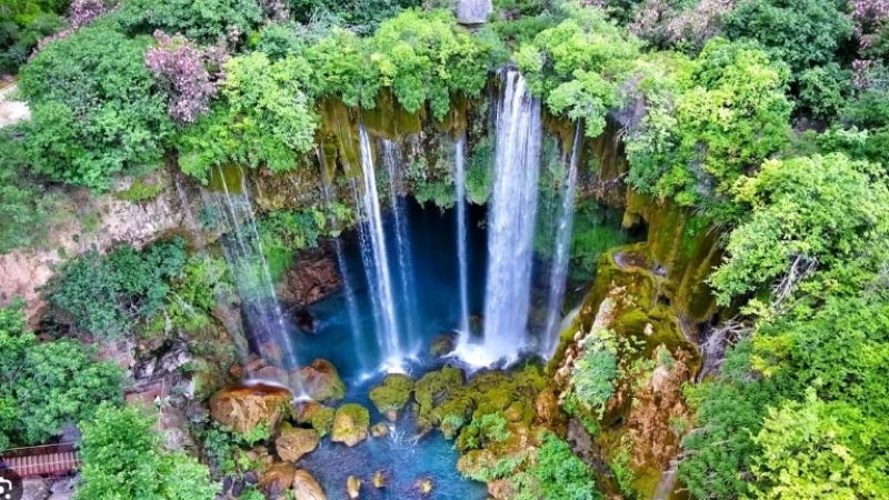 Mersin'de Yaşanan Olay galerisi resim 1