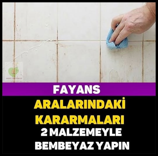 Duş ve Fayanns Temizliği Nasııl Yapılırr