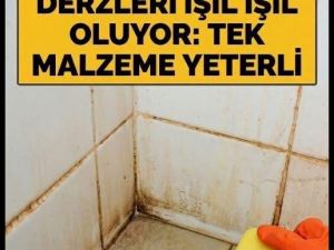 Kimyasallara Veda Edin!