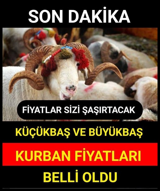 2026 büyükbaş ve küçükbaş fiyatları duyuruldu!