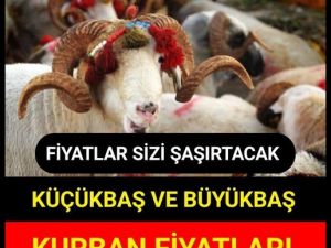 2026 büyükbaş ve küçükbaş fiyatları duyuruldu!