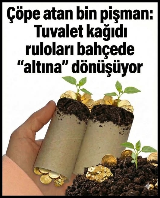 Bahçeniz İçin Altın Değerinde! İşte 3 Mucizevi Yöntem galerisi resim 1