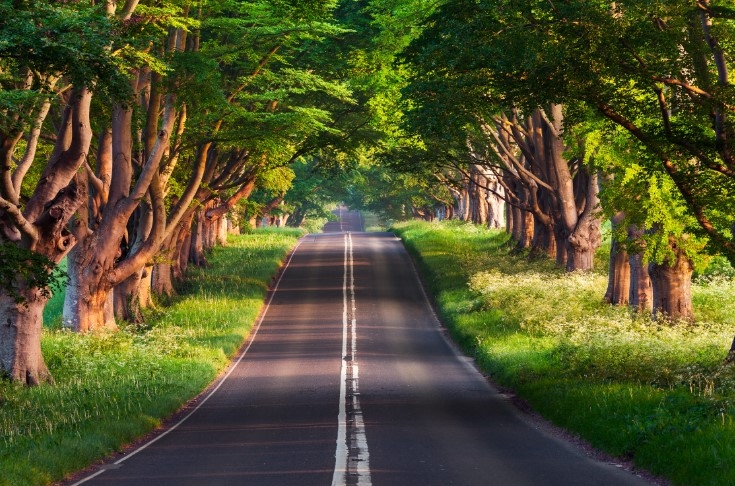 Ehliyete Yaş Sınırlaması galerisi resim 2