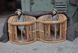 İhanet galerisi resim 2