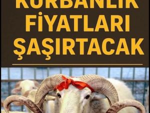 2026 kurban fiyatları belli oldu!