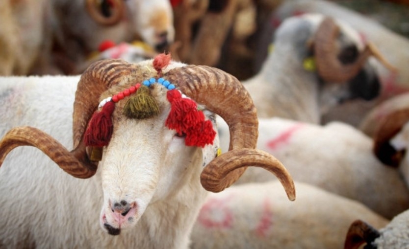 Emeklinin 2026 kurban bayramı ikramiyesi galerisi resim 2