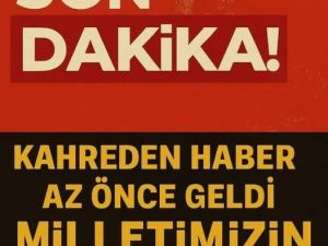 Türkiye'nin başı sağ olsun