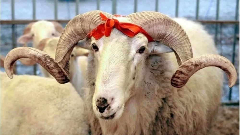 Emekli Bayram İkramiyesinde Güncelleme galerisi resim 1