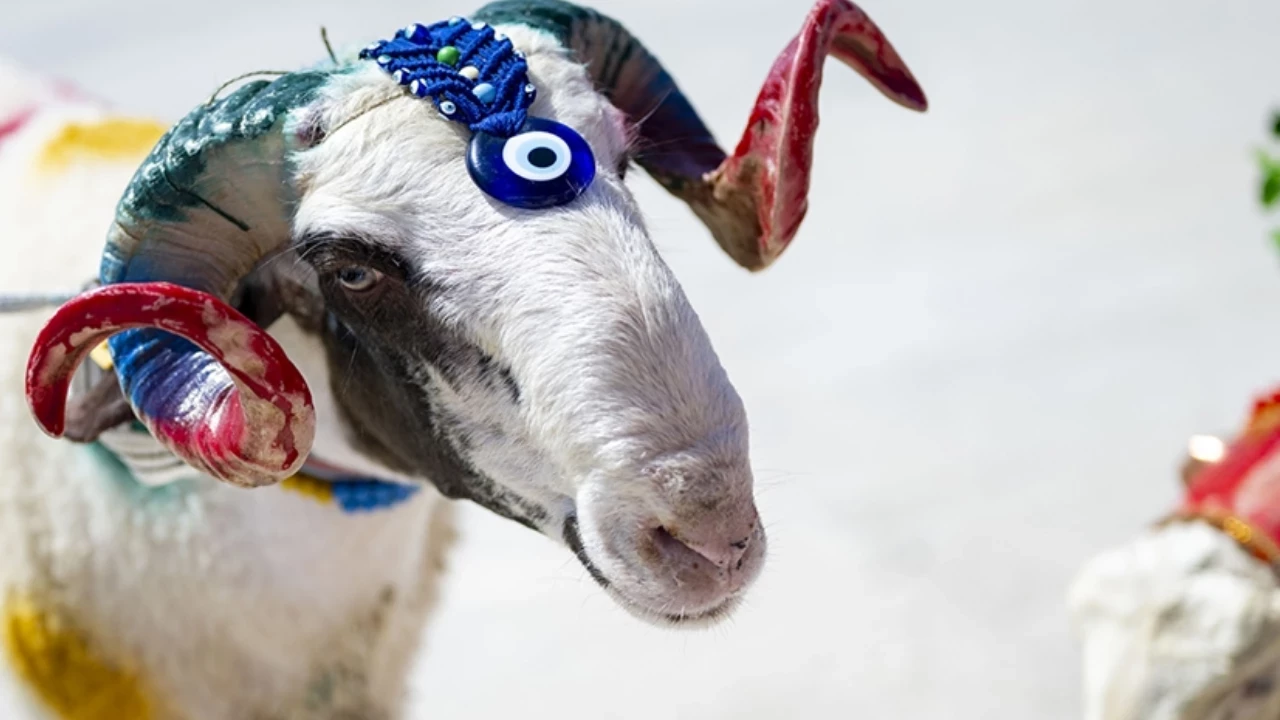 2026 Kurban Bayramı galerisi resim 1