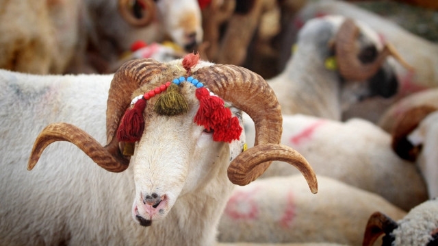 2026 Kurban Bayramı galerisi resim 2