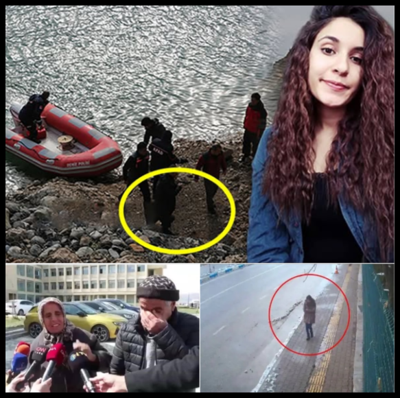 Gülistan Doku Olayı Hakkında