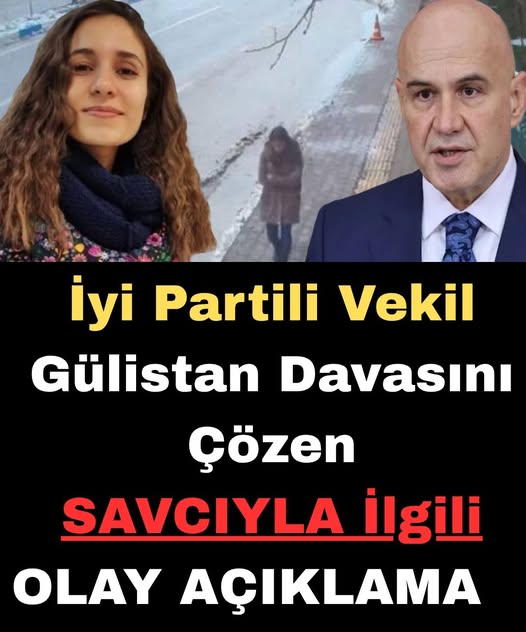 Gülistan Doku soruşturmasıyla ilgili iddialar