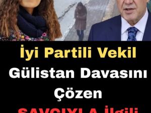 Gülistan Doku soruşturmasıyla ilgili iddialar