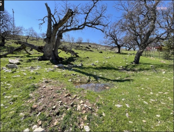Gülistan Doku galerisi resim 2
