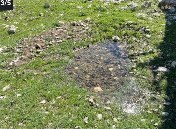 Gülistan Doku galerisi resim 3