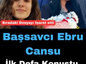 Başsavcı yeni dosyayı açıkladı
