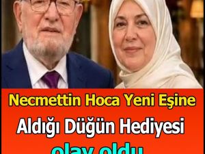 Necmeddin Nursaçan Hakkında