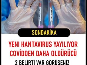 Yeni Virüs Belirtileri