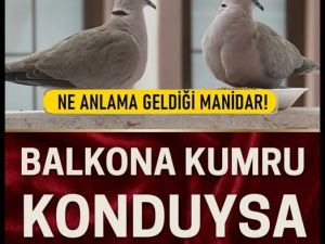 Balkona Kumru Konması