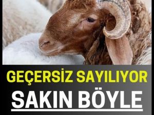 Kurbanı Sakın Böyle Kesmeyin