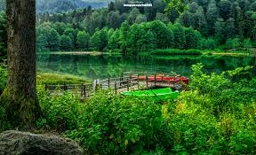 Genç kız, el aynasında makyajını kontrol etti… galerisi resim 7