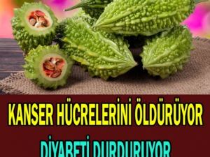 Kanser Hücrelerini Öldürüyor