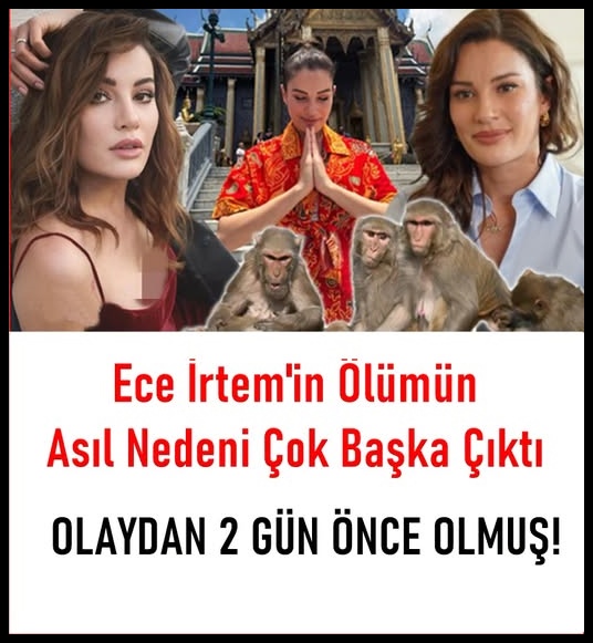 Kızılcık Şerbeti Oyuncusu