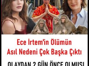 Kızılcık Şerbeti Oyuncusu