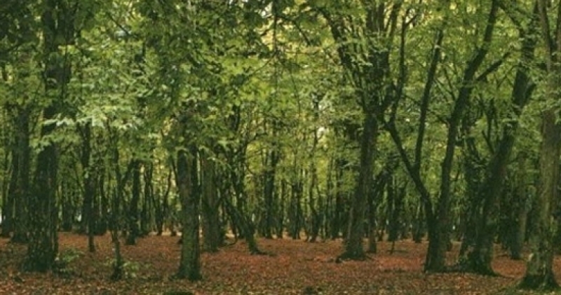 Beratcan Karakütük’ün öldürüldüğü davası görülmeye başladı galerisi resim 1