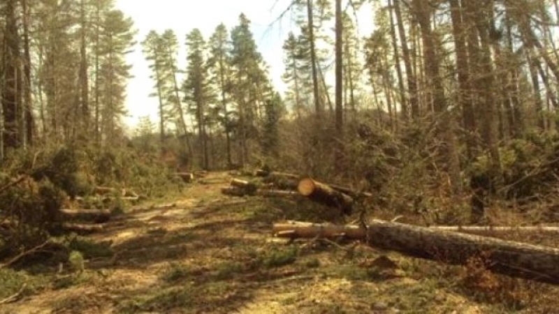 Beratcan Karakütük’ün öldürüldüğü davası görülmeye başladı galerisi resim 4