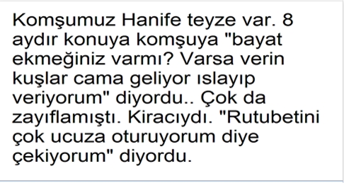 Bayat Ekmekler galerisi resim 1