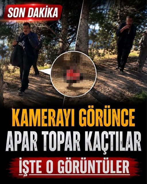 Apar Topar Kaçtılar galerisi resim 3
