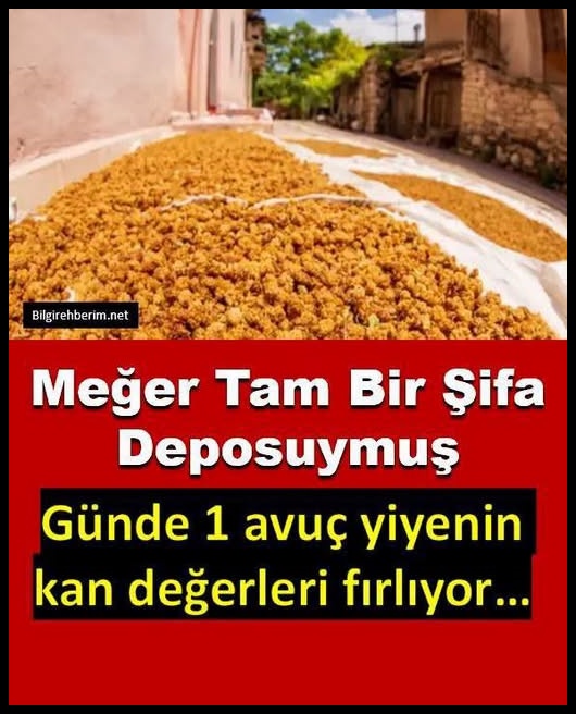 Meğer tam bir şifa deposuymuş: Günde 1avuç yiyenin kan değerleri fırlıyo