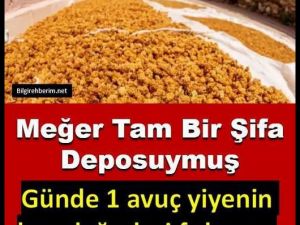 Meğer tam bir şifa deposuymuş: Günde 1avuç yiyenin kan değerleri fırlıyo