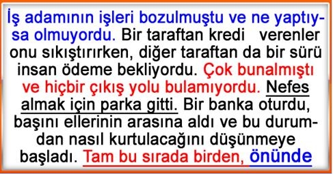 BAŞARININ SIRRI (MUTLAKA OKUYUN) galerisi resim 1