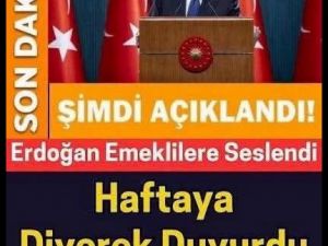 En yüksek teklif..