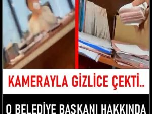 Belediye Başkanı