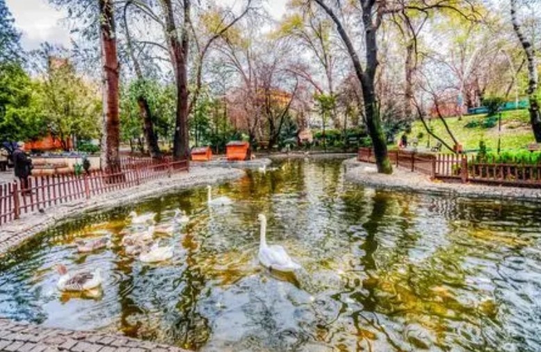 Balkonlara pet şişe galerisi resim 1