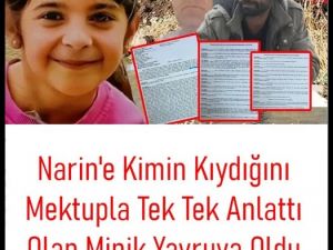 Narin Olayı Gerçekleri