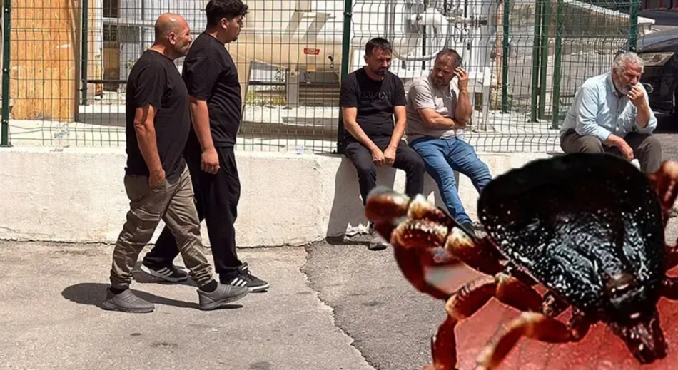 Vefat sayısı giderek artıyor galerisi resim 2
