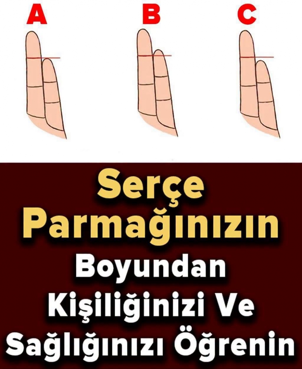 Serçe Parmağınızın Boyundan Kişiliğinizi ve Sağlığınızı Öğrenin galerisi resim 2