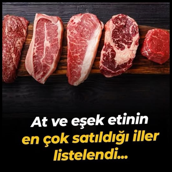 Listeye yeni firmalar girdi