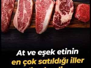 Listeye yeni firmalar girdi