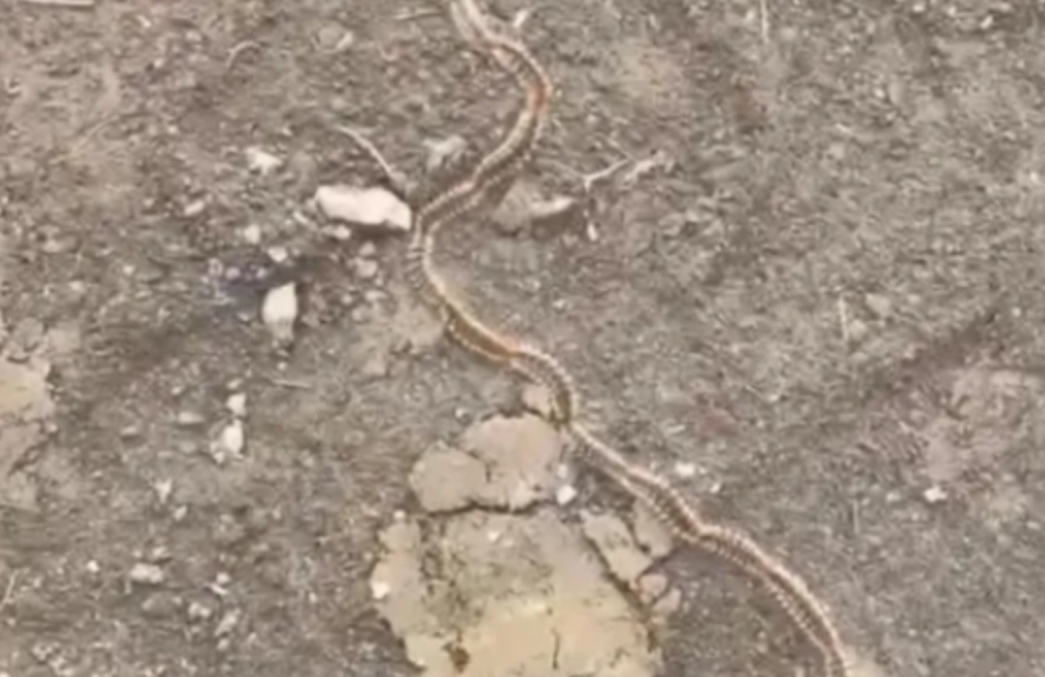 Herkes Önlemini Alsın galerisi resim 2