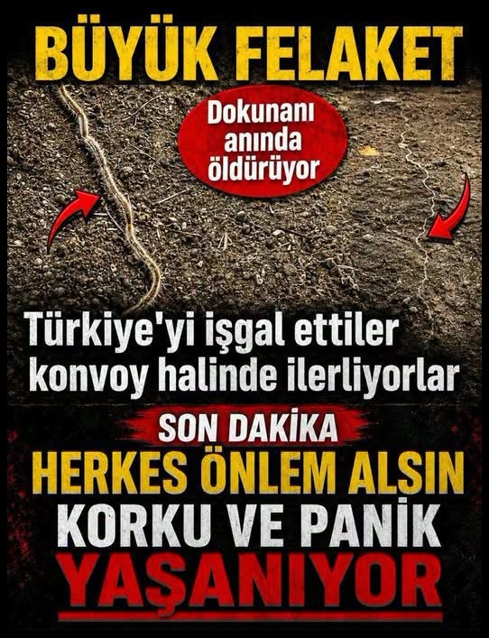 Herkes Önlemini Alsın