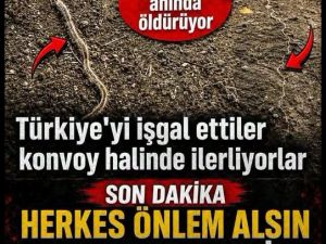 Herkes Önlemini Alsın