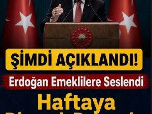 En yüksek teklif..