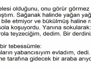 Yaşlı Teyze Dolmuş Beklerken