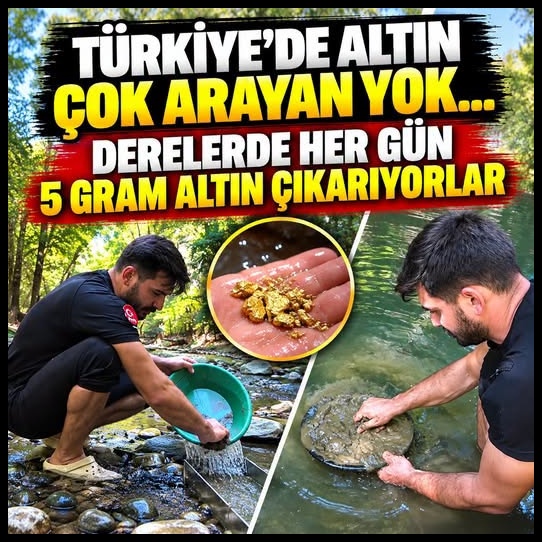 Türkiye'de altın çok arayan yok